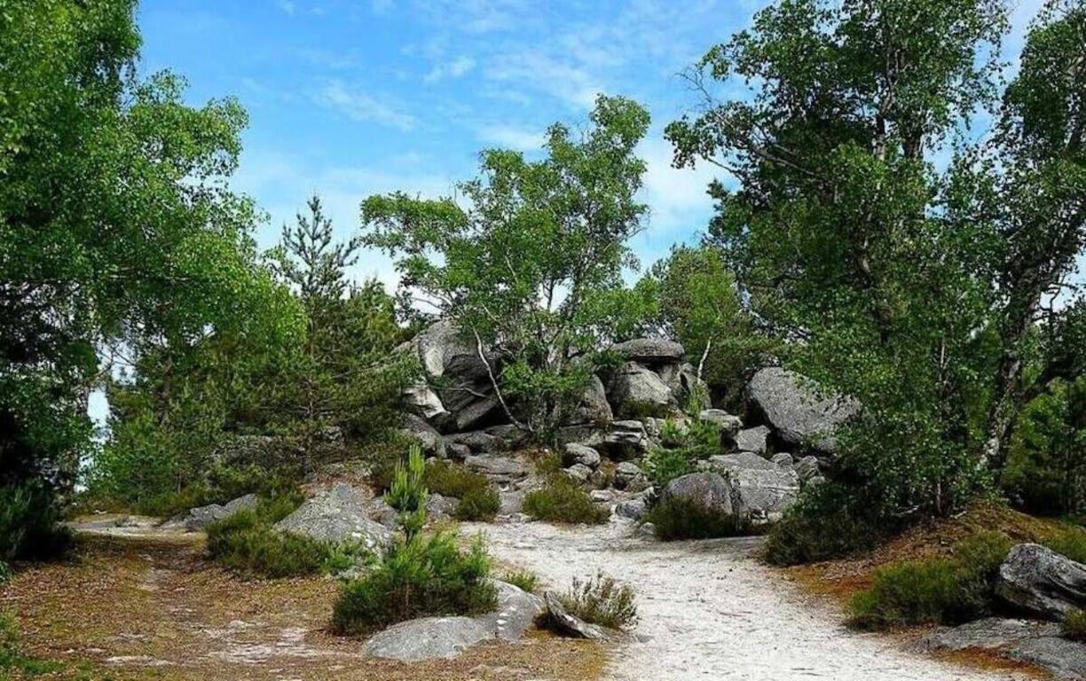 Apartamento L'Echappee Belle A Fontainebleau Exterior foto
